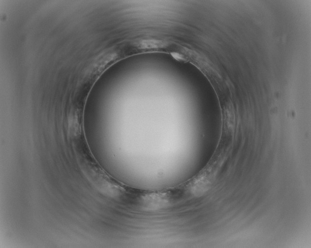 X0000073850422200608101230