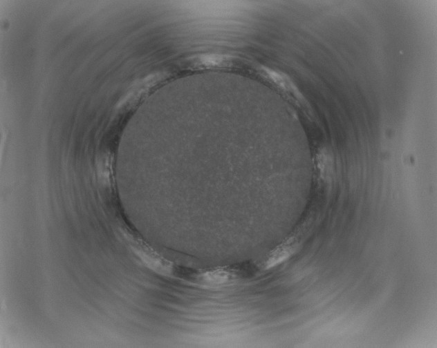 X0000073850423200608101230