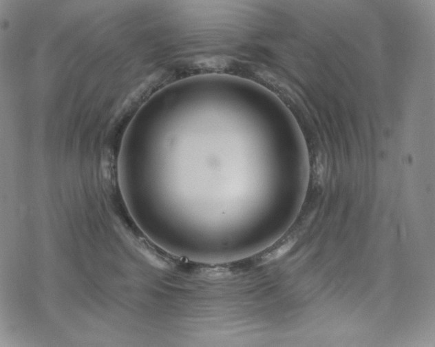 X0000073850424200608101230