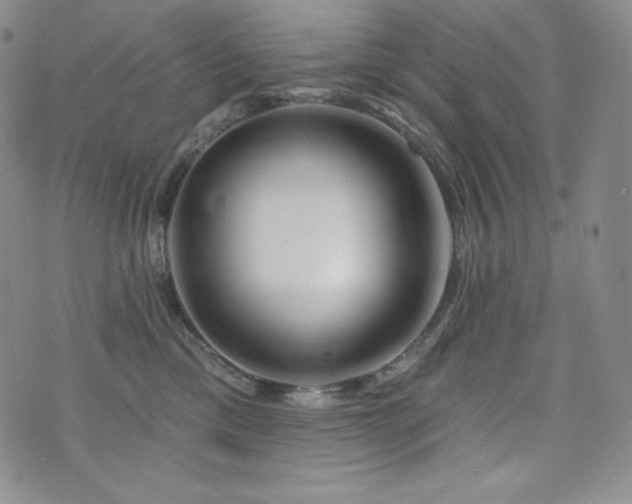 X0000073850425200608101230