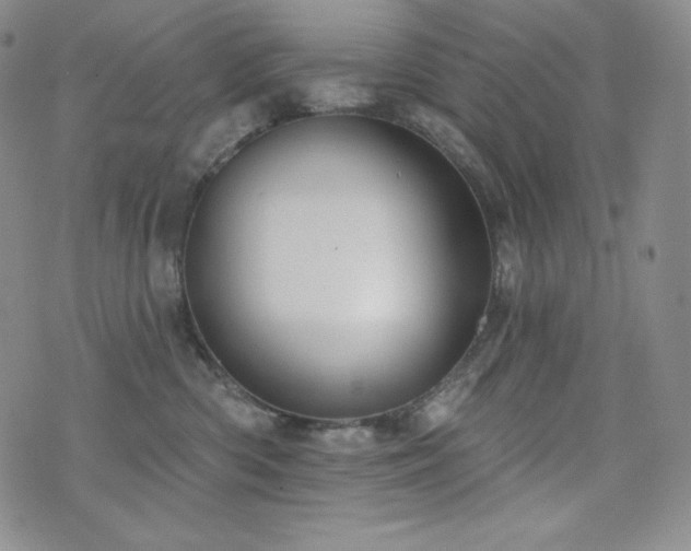 X0000073850426200608101230