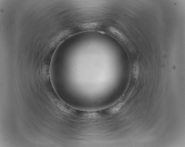 X0000073850428200608101230