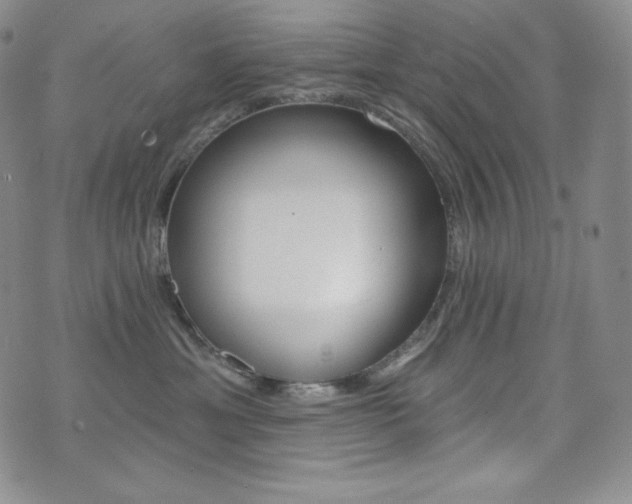 X0000073850429200608101230