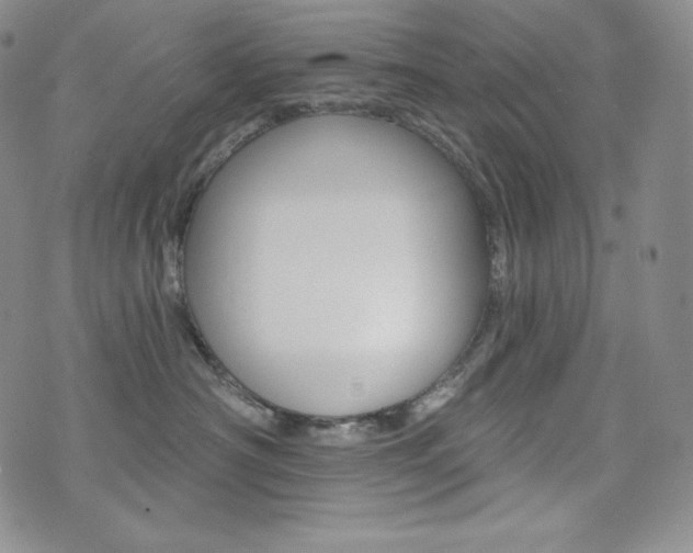 X0000073850430200608101230