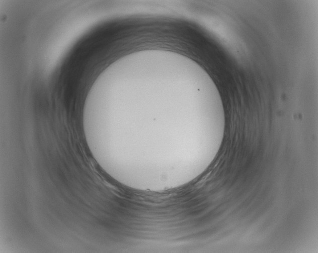 X0000073850431200608101230