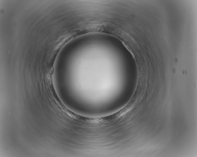 X0000073850432200608101230