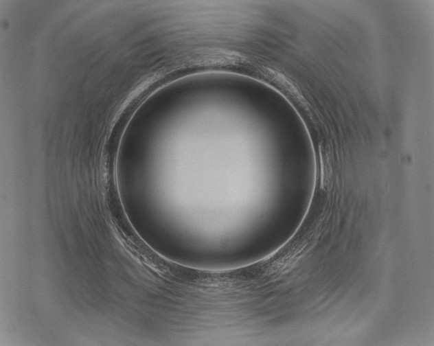 X0000073850435200608101229