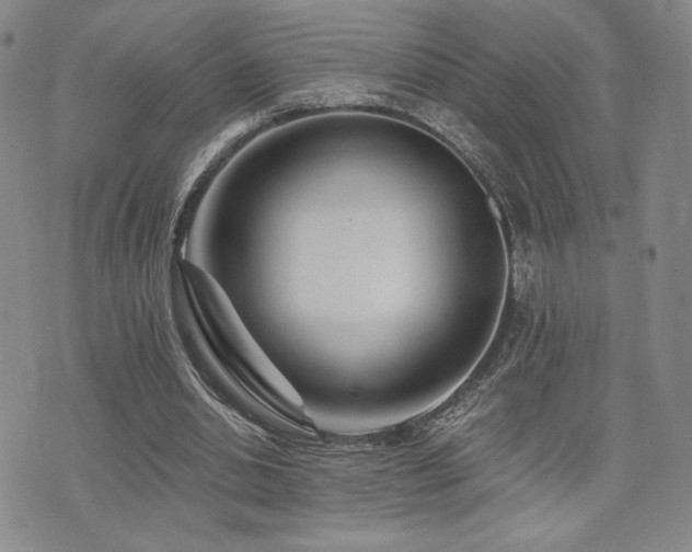 X0000073850438200608101229