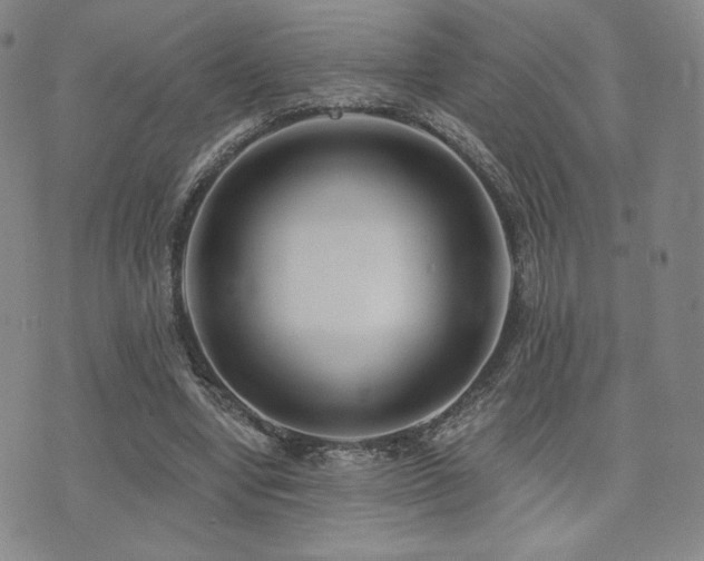 X0000073850442200608101229