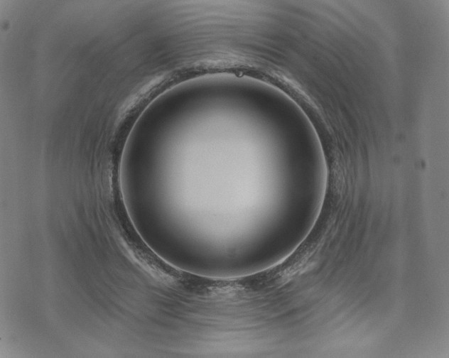 X0000073850446200608101229