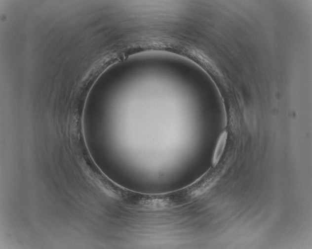 X0000073850449200608101229