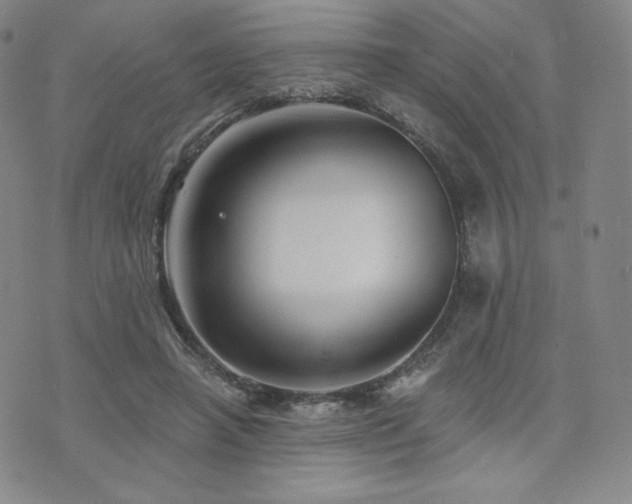 X0000073850450200608101229