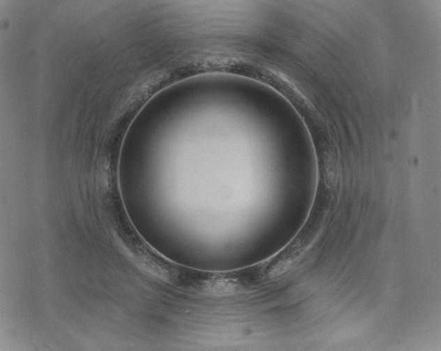 X0000073850451200608101229