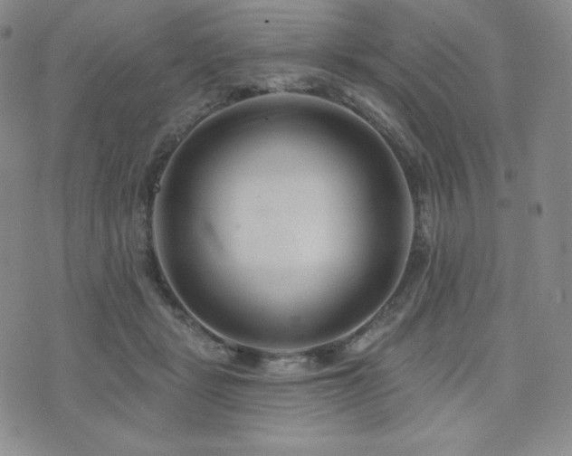 X0000073850461200608101229