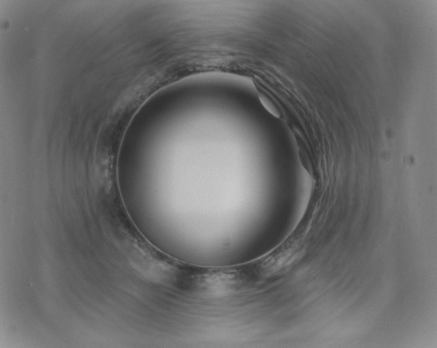 X0000073850462200608101230