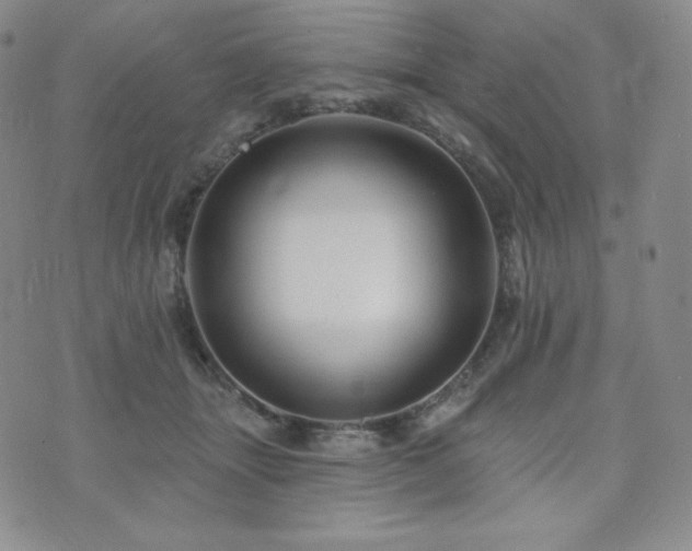 X0000073850463200608101230