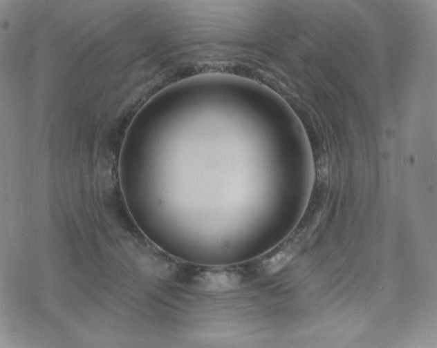 X0000073850464200608101230