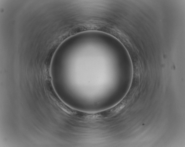 X0000073850465200608101230