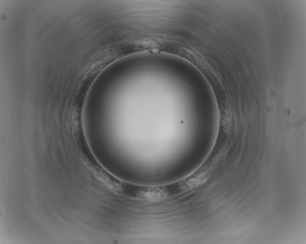 X0000073850466200608101230