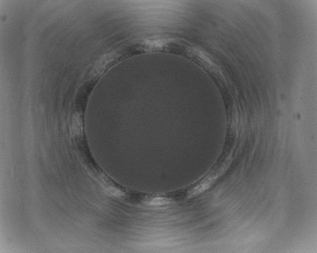 X0000073850467200608101230