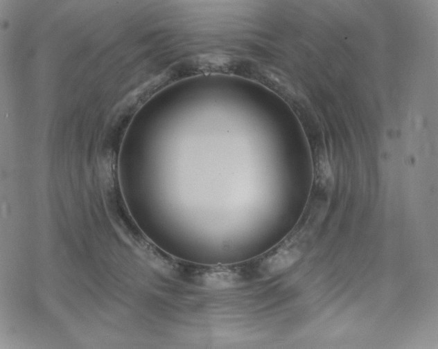 X0000073850468200608101230