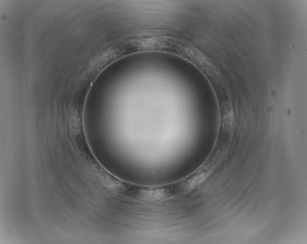 X0000073850469200608101230