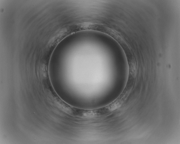 X0000073850470200608101230