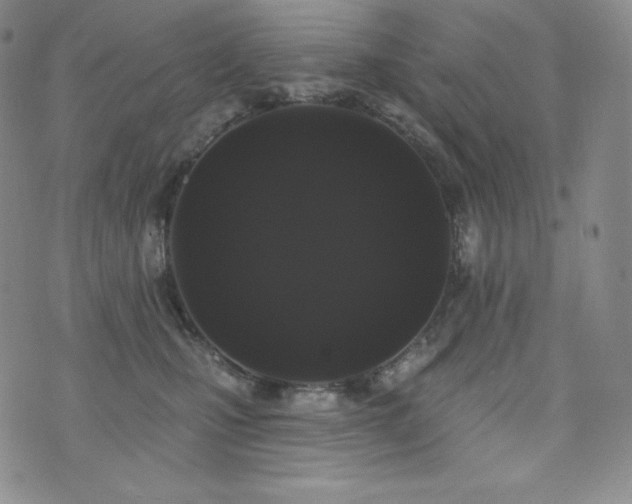 X0000073850471200608101230