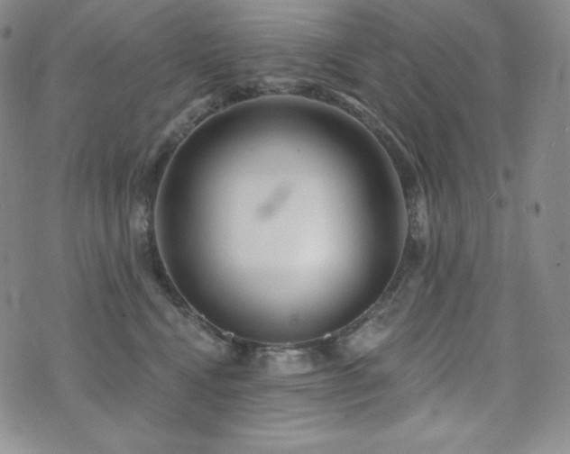 X0000073850472200608101230