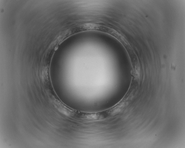 X0000073850473200608101230