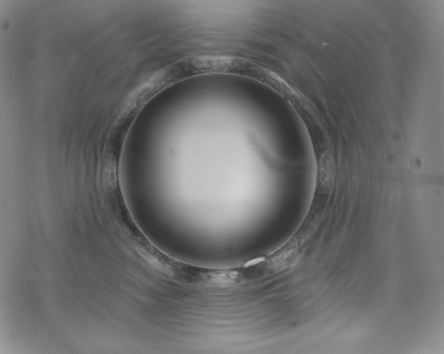 X0000073850474200608101230