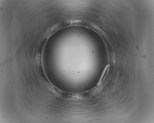 X0000073850475200608101230