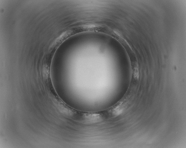 X0000073850476200608101230