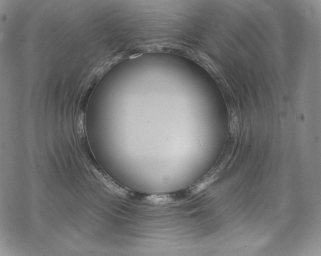 X0000073850477200608101230