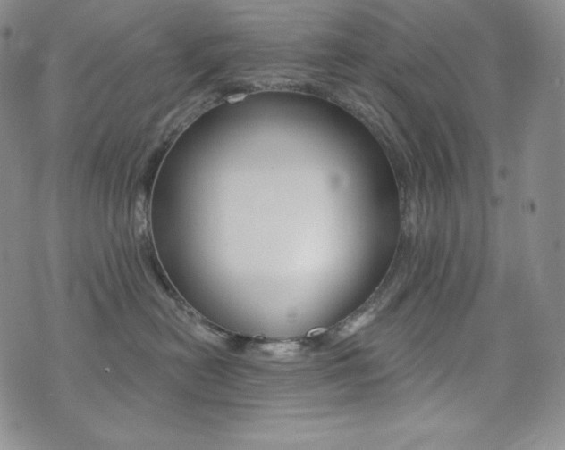 X0000073850478200608101230