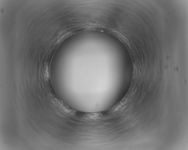 X0000073850479200608101230