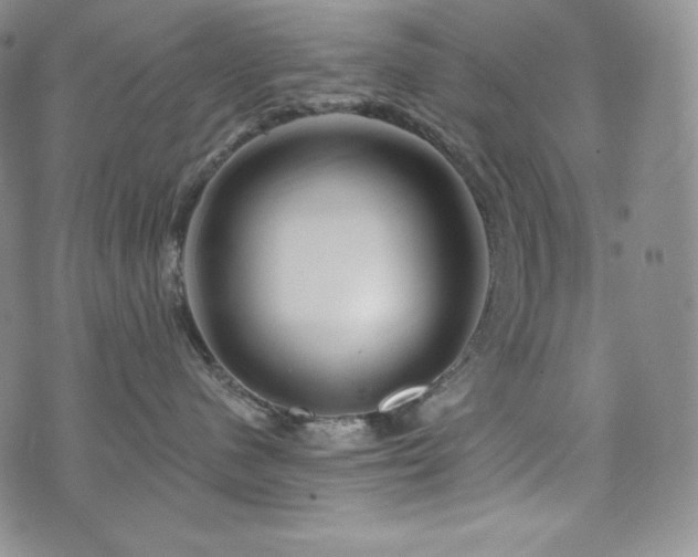 X0000073850480200608101230