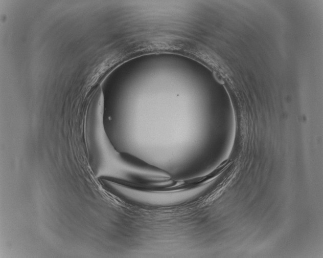 X0000073850481200608101229