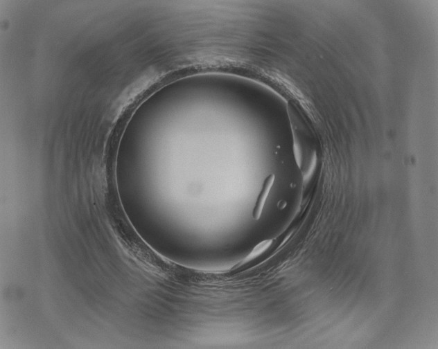 X0000073850488200608101229