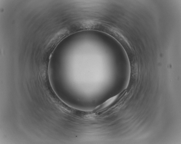 X0000073850505200608101229