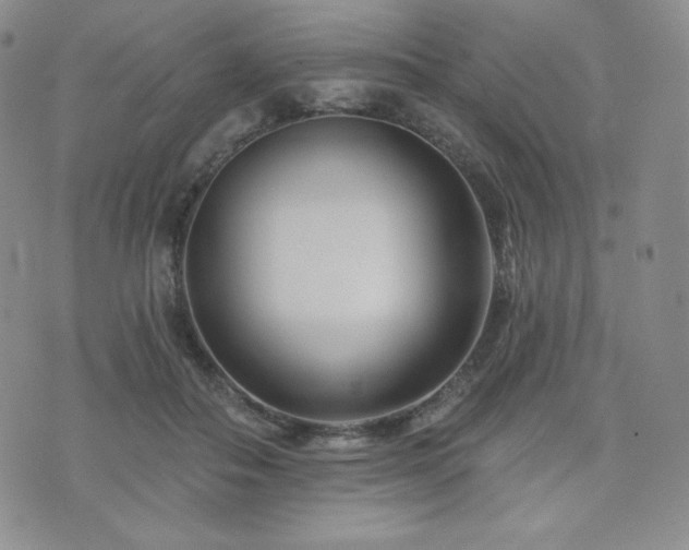 X0000073850506200608101229