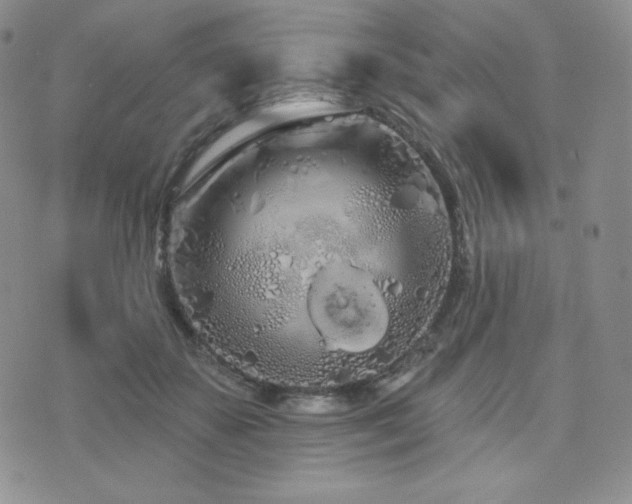 X0000073850507200608101229