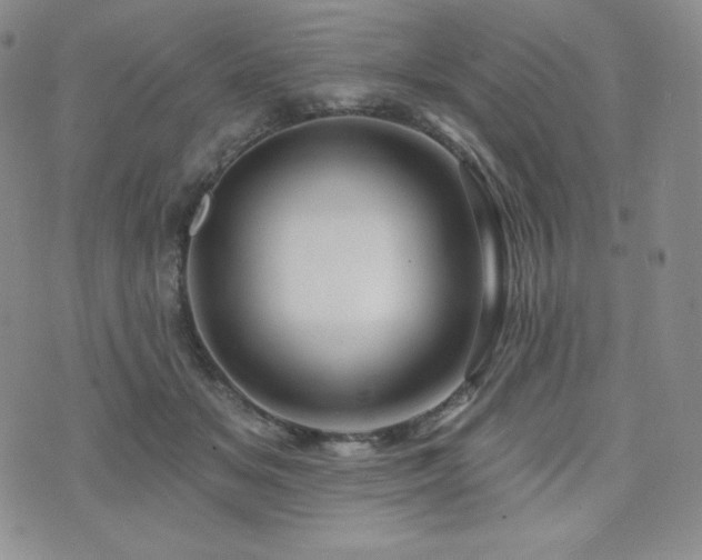 X0000073850509200608101229