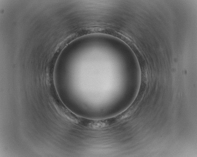X0000073850512200608101228