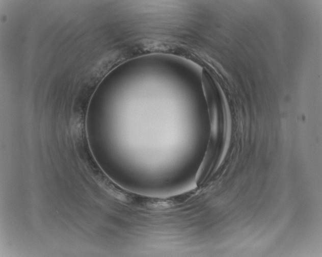 X0000073850513200608101228