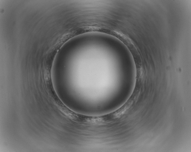 X0000073850517200608101228
