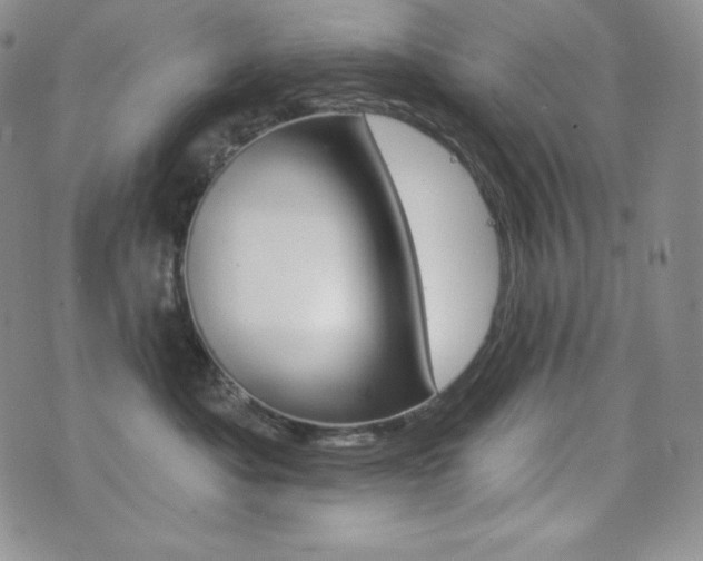 X0000073850525200608101228
