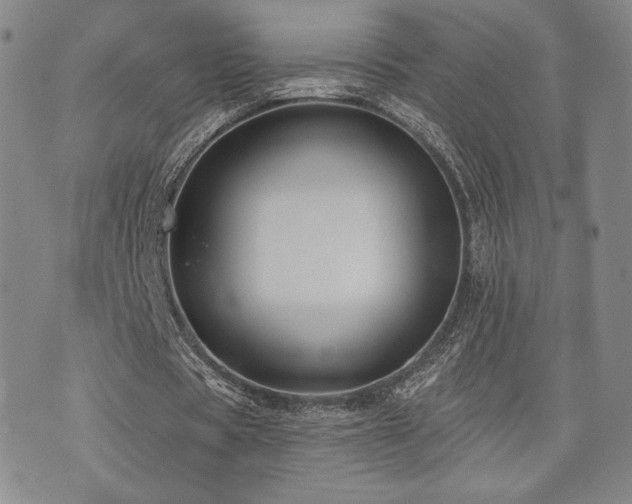 X0000073850529200608101227