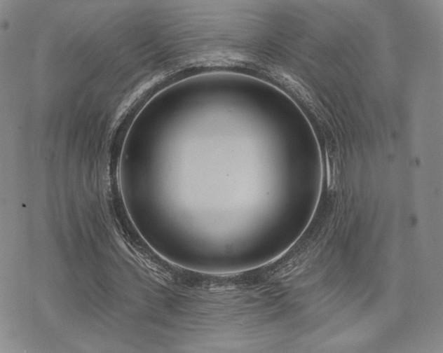 X0000073850531200608101227