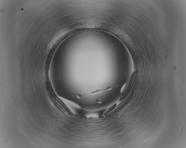X0000073850536200608101228